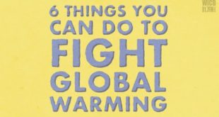 Six Ways You Can Fight Global Warming