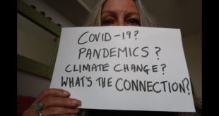 WHAT'S THE COVID CLIMATE CONNECTION