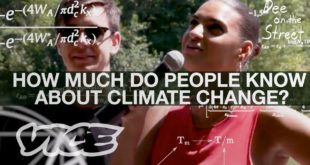 We Quizzed Strangers With Climate Change Trivia | Dee on the Street