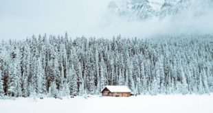 #isolate us here and we’ll do just fine 
#cabinfever #winterlover #dearwinter...