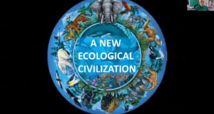 A New Ecological Civilization