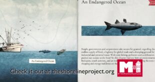 Agents for Change: Facing the Anthropocene - The Shoreline Project