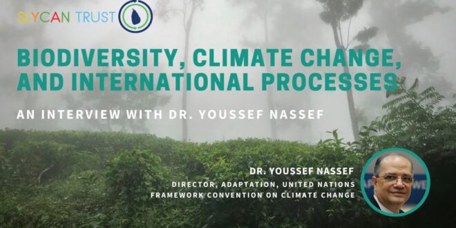 Biodiversity, Climate Change, and International Processes