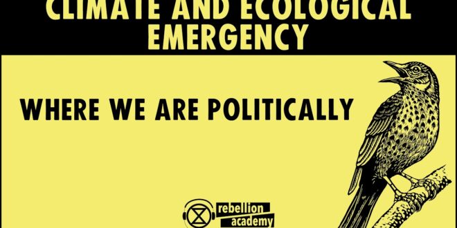 Climate and Ecological Emergency - Where we are politically
