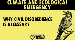 Climate and Ecological Emergency - Why civil disobedience is necessary