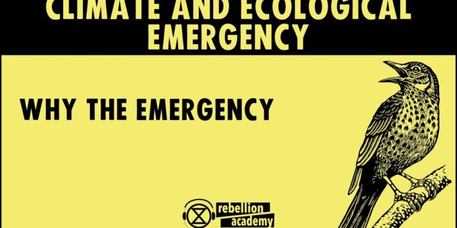 Climate and Ecological Emergency - Why the Emergency