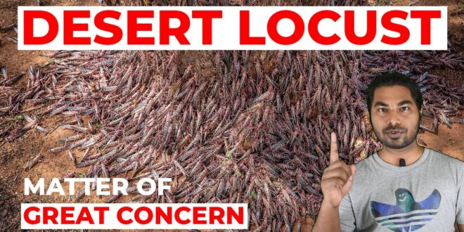 Desert Locust attack explained in Hindi| India, Kenya, Pakistan, Iran and Yemen| UPSC, IAS, CDS, NDA