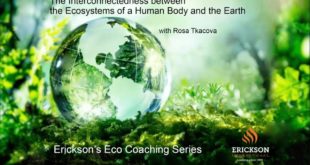 Eco Coaching Series: Session 6 - The Interconnectedness Between  Ecosystems