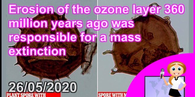 Erosion of the ozone layer 360 million years ago was responsible for a mass extinction