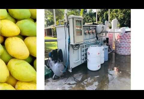 Food Industry Mango Pulp Wastewater treat by DAF System