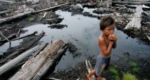 Global Journalist: Indonesia's rapid deforestation