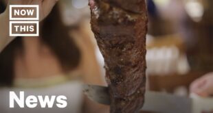 How Is The Beef Industry Influencing Deforestation in the Amazon? | NowThis