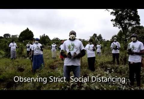 Kenya Reforestation Resumes - Maintaining Social Distancing at all Times