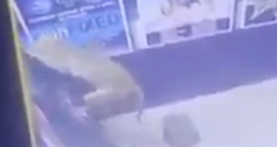Monkey Breaks Into ATM, And The Surveillance Footage Is Bananas