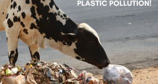 Plastic Production is still increasing every year and it’s set to double by 2034...