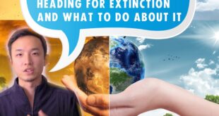 The Extinction Rebellion Talk: Climate Crisis + Social Science for change