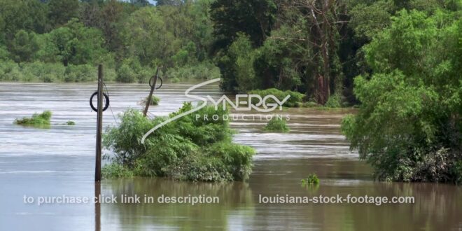 335 flooded river video stock footage