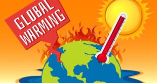 8 Important Things About Global Warming You Should Know | Environmental Awareness
