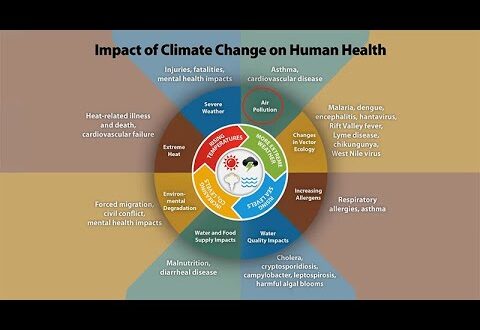 Climate Change: The Special Risks to Children, Pregnant Women, and Older Adults