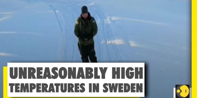 Climate change forces Sami Reindeer herders to adapt | Sweden