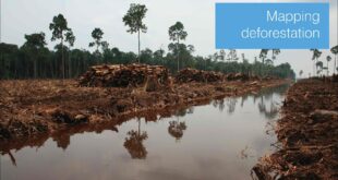 Mapping deforestation