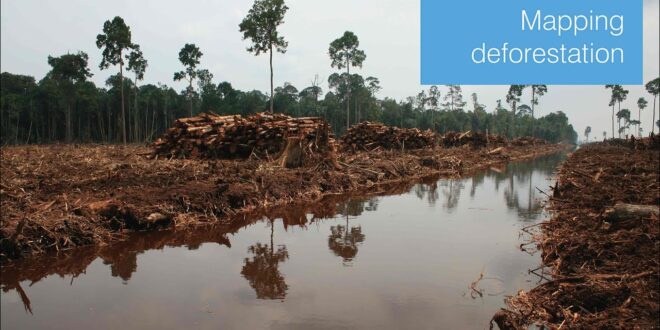 Mapping deforestation