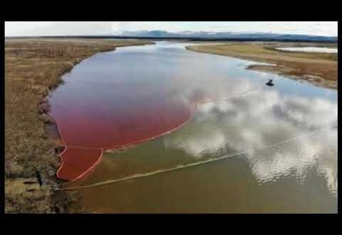 Norislk oil spill | Ambarnaya River Red | State of emergency Russia