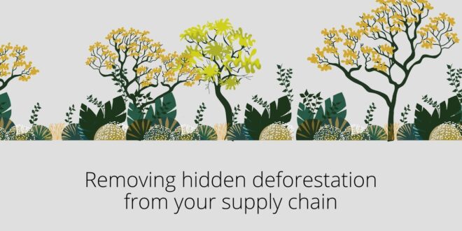 Removing hidden deforestation from your supply chain