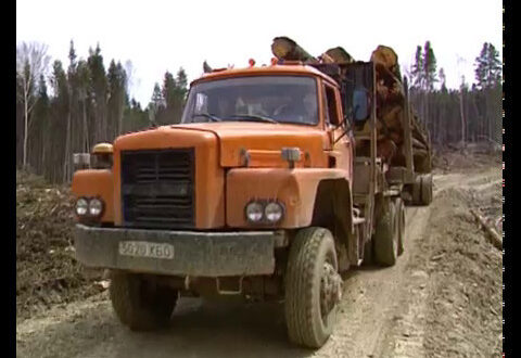Russian Deforestation: Unsustainable Logging, Soil Erosion, Environmental Destruction