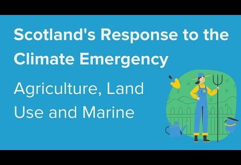 Scotland's Response to the Climate Emergency: Agriculture, Land use and Marine