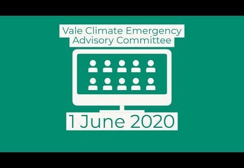 Vale Climate Emergency Advisory Committee - 1 June 2020