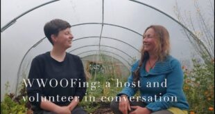 WWOOFing: insights into organic volunteering