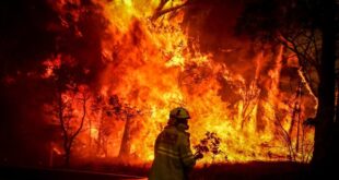 ‘Emotive reporting’ not 'science' links climate change to bushfires
