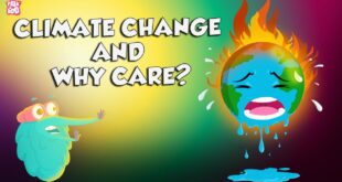 Climate Change 101 | Keep The Environment Safe | The Dr Binocs Show | Peekaboo Kidz