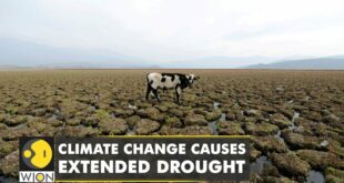Climate change causes extended drought as Chile faces its worst drought in history | English News