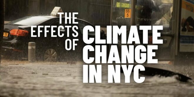 Effects of Climate Change in New York City | CUNY TV Special