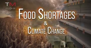Food Shortages and Climate Change | Truth Matters