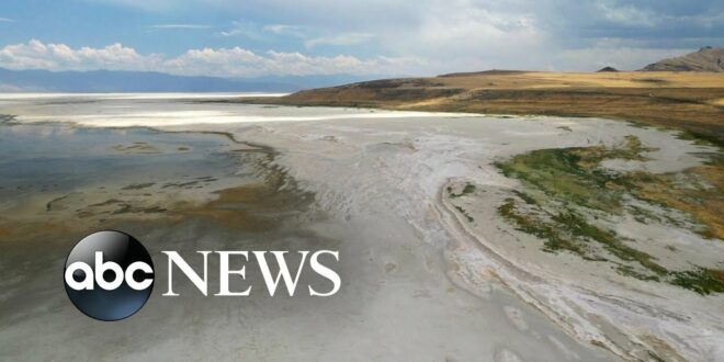 Great Salt Lake dry-up causing dangerous climate ripple effect, ecologists say l ABCNL