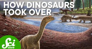 How Climate Change Helped Dinosaurs Take Over