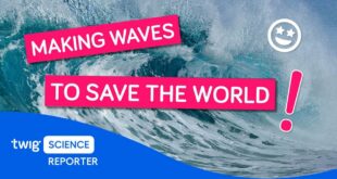 How can ocean waves fight climate change? | Twig Science Reporter