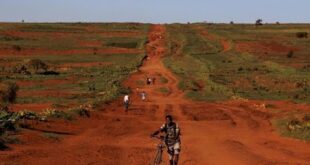 How climate change is turning once green Madagascar into a desert