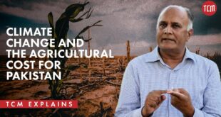 How is Climate Change Affecting Pakistan’s Agricultural Produce?