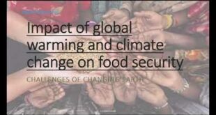 Impact of global warming climate change on food security | A-Z Concepts guide