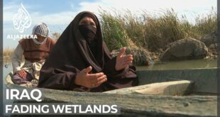 Iraq's fading wetlands: UNESCO site threatened by climate change