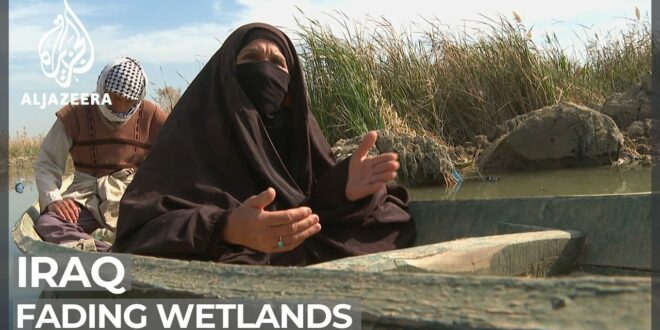 Iraq's fading wetlands: UNESCO site threatened by climate change
