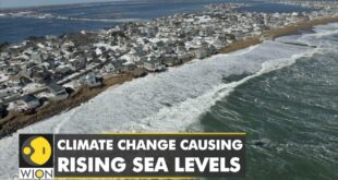 Rate of sea level rise is accelerating | Climate change threatens Precheur village in France | WION