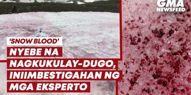 "Snow blood"—Nyebe na nagkukulay-dugo, dulot ng climate change? | GMA News Feed