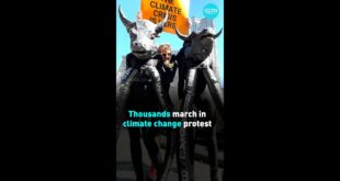 Thousands march in climate change protest