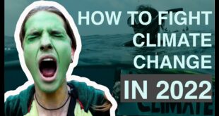 Top 3 Ways to Fight Climate Change in 2022