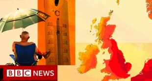 UK's record-breaking heatwave 'basically impossible' without climate change - BBC News